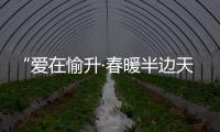 “爱在愉升·春暖半边天”2023愉升商用饮水3.8妇女节主题活动
