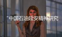 快排公司十年历程，霸屏兔 seo 的崛起与坚守