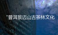 快排公司十年历程，霸屏兔 seo 的崛起与坚守