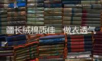 快排公司十年历程，霸屏兔 seo 的崛起与坚守