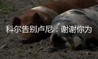 快排公司十年历程，霸屏兔 seo 的崛起与坚守