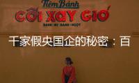 千家假央国企的秘密：百万买身份�，假央企变身集团公司