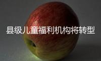 县级儿童福利机构将转型！未来工作重点在哪里	？