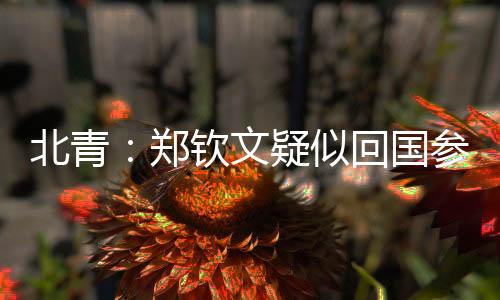 感动中国据北青体育报道