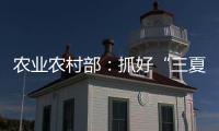 农业农村部
：抓好“三夏”生产 努力夺取全年粮食丰收