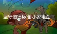 坚守道德标准 小家电企业利润不断提升