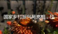 国家乡村振兴局亮相，挂上这块牌子意味着什么？