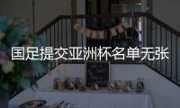 国足提交亚洲杯名单无张鹭 里皮率队赴阿联酋