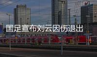 国足宣布刘云因伤退出 补招鲁能球员吴兴涵