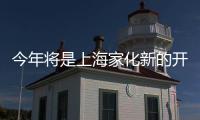 快排公司十年历程，霸屏兔 seo 的崛起与坚守