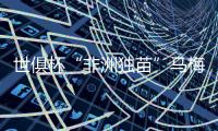 世俱杯“非洲独苗”马梅洛迪日落出局