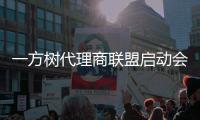 一方树代理商联盟启动会	：展示健康艺术板材，引领家居市场新潮流