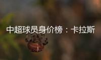 快排公司十年历程，霸屏兔 seo 的崛起与坚守