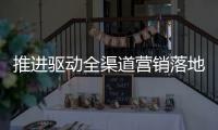 快排公司十年历程，霸屏兔 seo 的崛起与坚守
