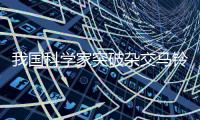 我国科学家突破杂交马铃薯育种技术难题