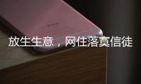 放生生意，网住落寞信徒丨记者手记