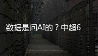 快排公司十年历程，霸屏兔 seo 的崛起与坚守