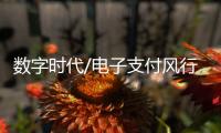 数字时代/电子支付风行内地	：用过谁愿放手
