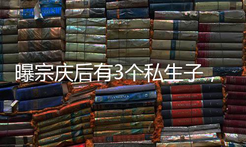 庆后情人纷纷支持宗馥莉