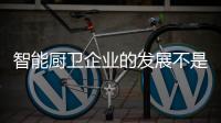 快排公司十年历程，霸屏兔 seo 的崛起与坚守