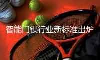 智能门锁行业新标准出炉 以后买时要看准