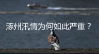 涿州汛情为何如此严重�？救援有何难点�？