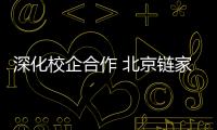 快排公司十年历程，霸屏兔 seo 的崛起与坚守