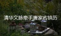 快排公司十年历程，霸屏兔 seo 的崛起与坚守