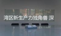 快排公司十年历程，霸屏兔 seo 的崛起与坚守