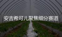 安吉希可儿聚焦细分赛道，在国货品牌中大放异彩
