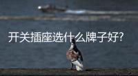 开关插座选什么牌子好?就选中国开关十大品牌公牛