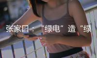 张家口：“绿电”造“绿氢”助力绿色办奥