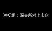 巡视组	：深交所对上市企监管不力