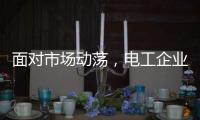 面对市场动荡，电工企业要适应环境变化