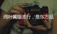 阔叶黄檀流行
，是东方品质生活的回归