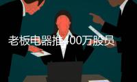 快排公司十年历程，霸屏兔 seo 的崛起与坚守