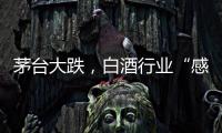 快排公司十年历程，霸屏兔 seo 的崛起与坚守