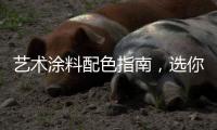 艺术涂料配色指南
，选你所爱�	，让家显得大气上档次!