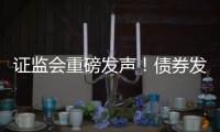 证监会重磅发声！债券发行迎新规 这些“常见行为”被明令禁止