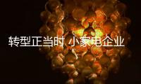 快排公司十年历程，霸屏兔 seo 的崛起与坚守