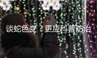 快排公司十年历程，霸屏兔 seo 的崛起与坚守