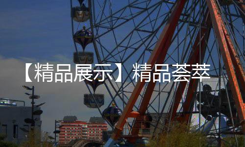 供应商代表	、智能的解决方案