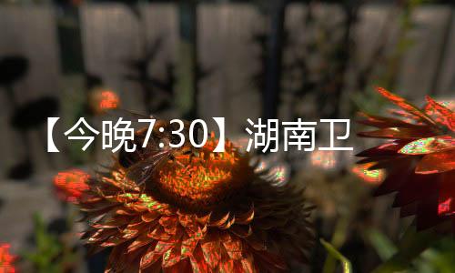 严格控制投入产出比