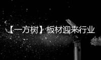 【一方树】板材迎来行业大咖，共谋发展新篇章