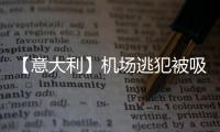【意大利】机场逃犯被吸进飞机发动机	，经过几十个刀片高速旋转和1600度高温
，瞬间粉碎（现场图慎点）