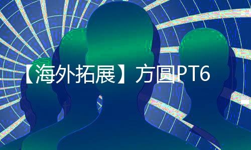 在国内外市场赢得良好口碑