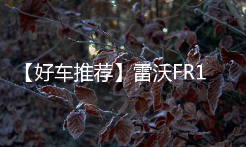 雷沃利器内部流道优化