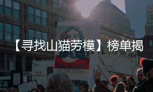 山猫元老奖我们先留个悬念
