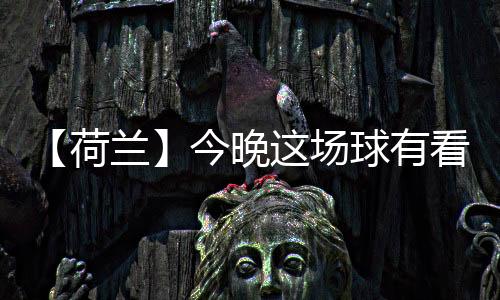 两人共同执教荷兰U21国家队
