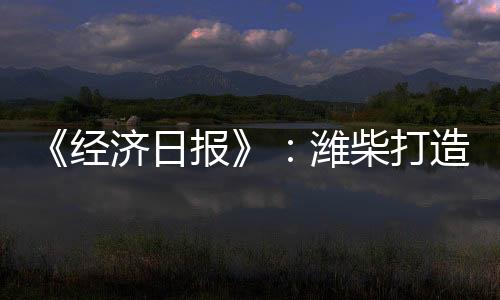 经济潍柴显然是日报有备而来